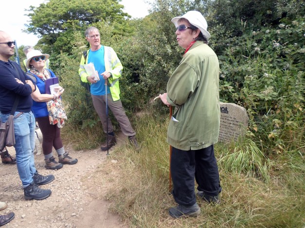 Cassandra speaking to the group about C.A.S.P.N at the entrance of the Merry Maidens stone circle