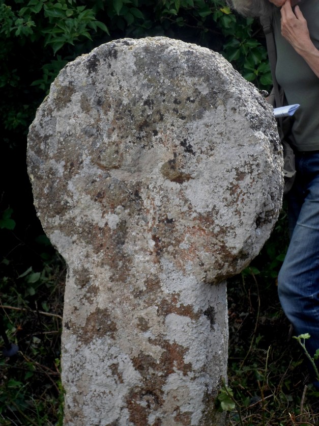 Cross Walk AM 2016 029