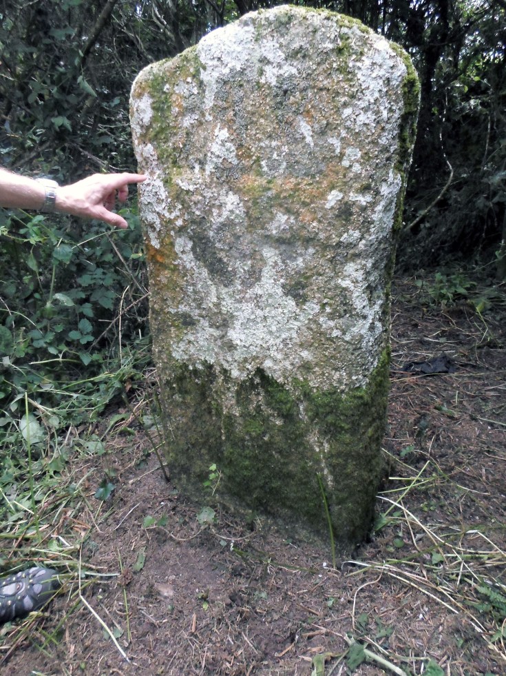 A hidden cross at Tregurnow recently uncovered