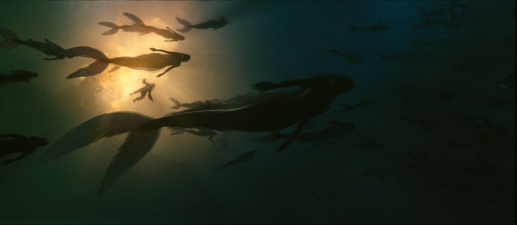 Image - Pirates & Wiki ©Disney Enterprises, Inc. All Rights Reserved..